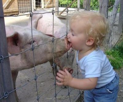 No Problem with Piggy