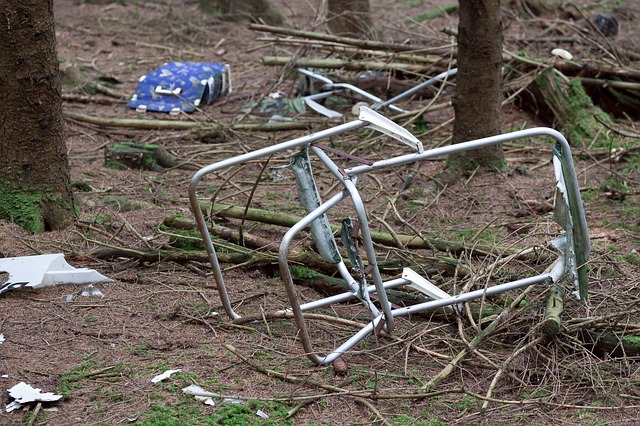 Müll im Wald